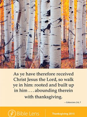 As Ye Have…Thanksgiving