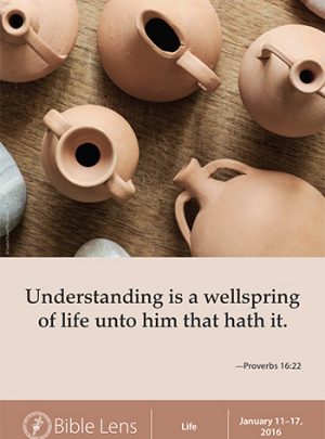 Understanding Is A Wellspring