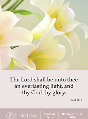 An Everlasting Light