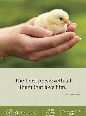 The Lord Preserveth All Them That Love Him