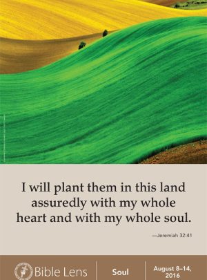 I Will Plant