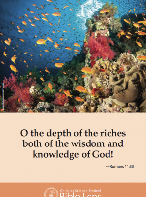 Depths of Riches