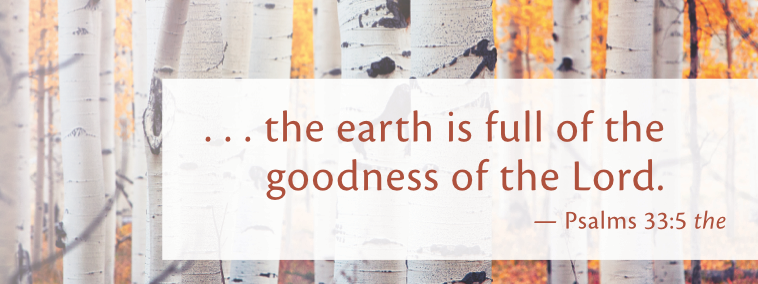 the earth is full of the goodness of the Lord (banner)