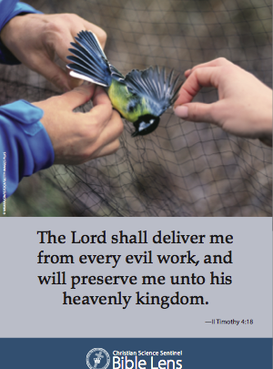 The Lord shall deliver me from every evil work