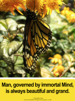 Man, governed by immortal Mind, is always beautiful and grand.