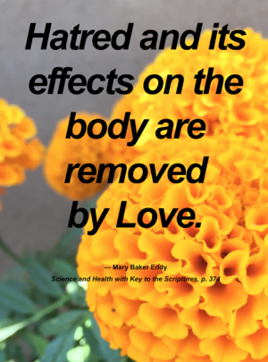 Hatred and its effects on the body are removed by Love.