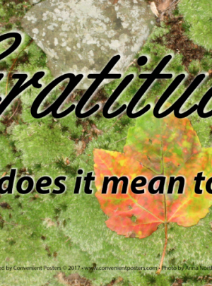 Gratitude – What does it mean to you?
