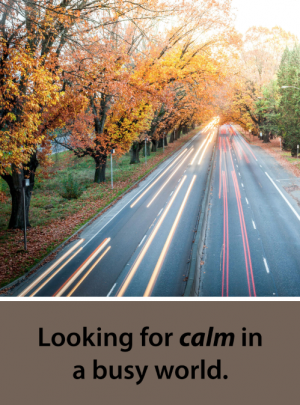Looking for calm in a busy world