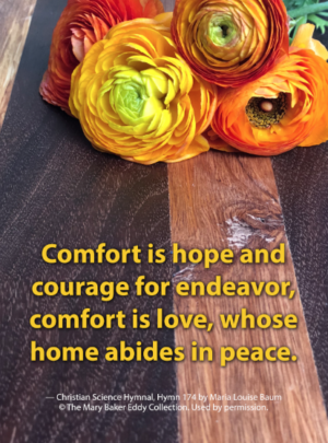 Comfort is hope and courage for endeavor…