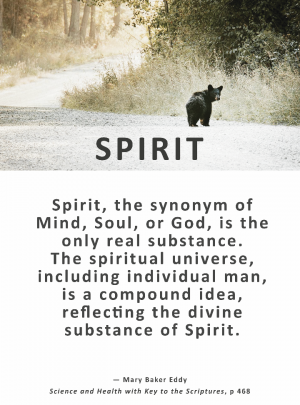 Synonyms Spirit